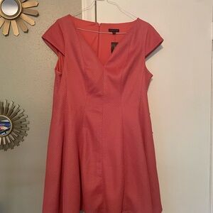 Lane Bryant Pink Mini Dress